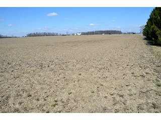 Property photo 77 - LAND AUCTION - 215+/- ACRES OFFERED IN 6 TRACTS IN VAN WERT COUNTY, OHIO